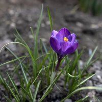 Вольница тепла :: Валерий Басыров