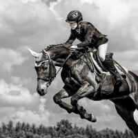 Конкур :: SanSan 