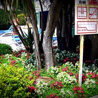 Барселона. :: Владимир Драгунский Барселона. :: Владимир Драгунский