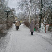 Зимний день :: Роман Савоцкий