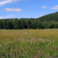 Мурзинка :: Елена Шаламова