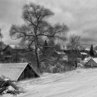Ранним утром :: Владимир Гришин