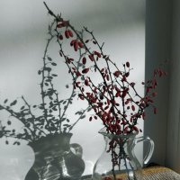 *** :: Валентина Береснева