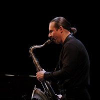 Соло :: Андрей Зайцев