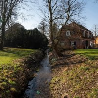 Ручьи-ручьи... :: Николай Гирш