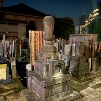 Городское кладбище в Токио :: Николай Соколухин