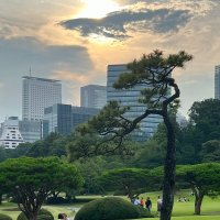 Городские сады и парки Токио :: Николай Соколухин