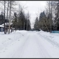 Наша улица на даче :: Ольга Довженко