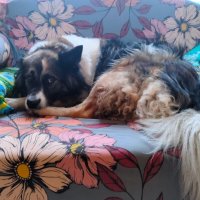 Ося :: Наталья 