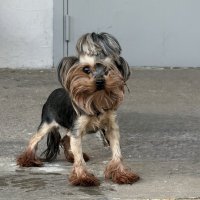 Встреча у подъезда :: Любовь 