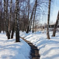 По дороге на работу :: Андрей Лукьянов