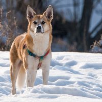 *** :: Владимир Безбородов