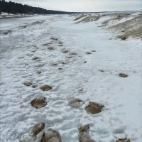 Прогулка в Нарва-Йыэсуу :: Veera V