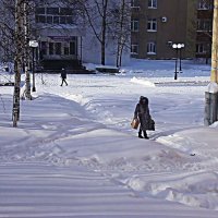 Март....На  узкой тропе- не разойтись! :: Владимир 
