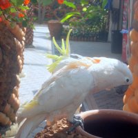 Начало пути :: ирина 