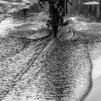 Выход на глиссирование. :: Игорь Викторов Выход на глиссирование. :: Игорь Викторов