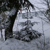 Зимний лесопарк :: Рита Симонова Зимний лесопарк :: Рита Симонова