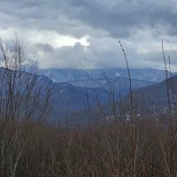 ПРОГУЛКА В ГОРАХ :: Tata Wolf