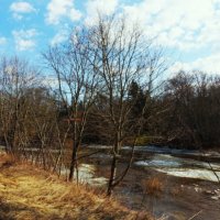 Красивый солнечный день на реке Пирита :: Aida10 