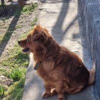 Голоса на улице :: Наталья 