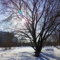 Приметы марта :: Андрей Лукьянов Приметы марта :: Андрей Лукьянов