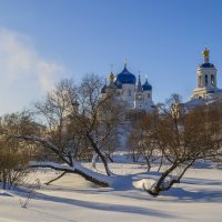 Боголюбово.Раскидистая ива :: Сергей Цветков