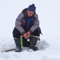 Как обычно...-клюёт вчера и завтра... :: Михаил Курзанцев