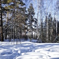 У нас пока так... :: Валентина *