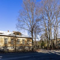 Жизнь на природе :: Евгений Жизнь на природе :: Евгений