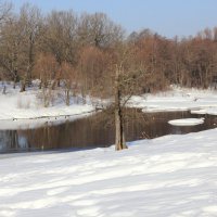 Скоро проснётся... :: Евгений Корьевщиков