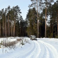 На берегу карьера. :: ВикТор Быстров
