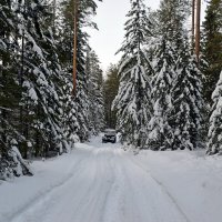 Зимняя дорога. :: ВикТор Быстров Зимняя дорога. :: ВикТор Быстров