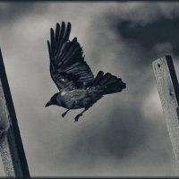 Пересекая невидимый порог с ощущением свободы и стремлением к полету. :: Сергей В