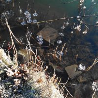 ВЕСЕННИЙ ДЕСАНТ :: Виктор Никитенко