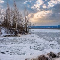 *** :: Алексей Мезенцев *** :: Алексей Мезенцев