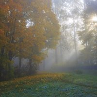 Утренний туман :: Владимир Гришин