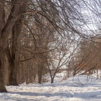 ___ :: Yuriy V ___ :: Yuriy V