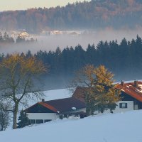 Туманное утро :: Ирэн 