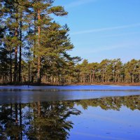 Тихий мартовский день .. :: Татьян@ Ивановна