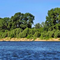 Ока :: Валерий Судачок