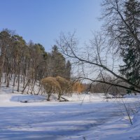 Март в Царицыно... :: Владимир Жданов