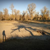 встреча с пришельцем) :: Aндрей Антонов