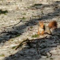 Иди, мне еще прибраться надо ! :: Николай 