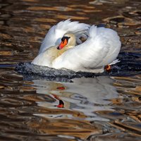 март :: Михаил Бибичков