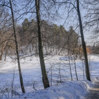 Март в Царицыно... :: Владимир Жданов