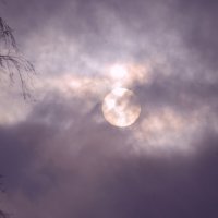 Солнце. :: Андрей Андрианов Солнце. :: Андрей Андрианов