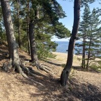 Тихий, уединенный остров Коневец... :: Наталия Павлова