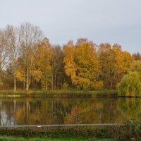 Ноябрьское... :: Николай Гирш