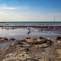 Каспий :: Анатолий Чикчирный