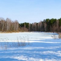 Весна в марте. :: Милешкин Владимир Алексеевич 